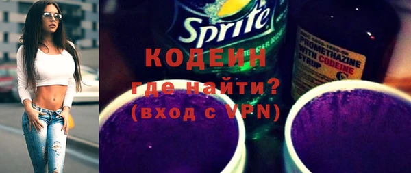 молекула духа Туринск